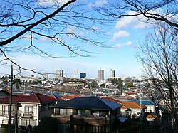 View of Tokorozawa from Hachikokuyama